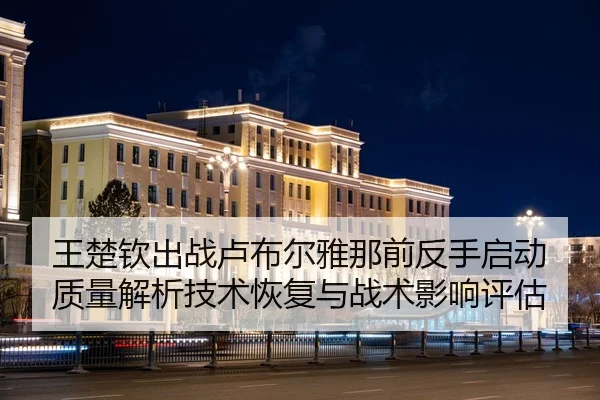 王楚钦出战卢布尔雅那前反手启动质量解析技术恢复与战术影响评估（jiuyou）