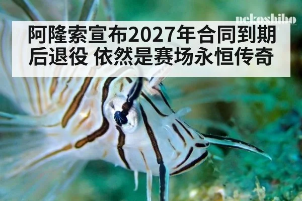 阿隆索宣布2027年合同到期后退役 依然是赛场永恒传奇（jiuyou）