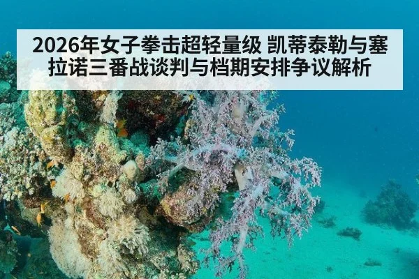 2026年女子拳击超轻量级 凯蒂泰勒与塞拉诺三番战谈判与档期安排争议解析（jiuyou）